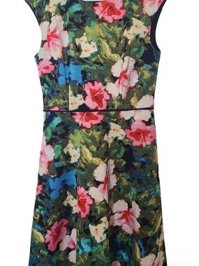 Maggy London Floral Fit-and-Flare Dress in Green and Pink